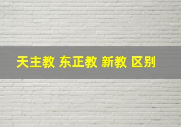 天主教 东正教 新教 区别